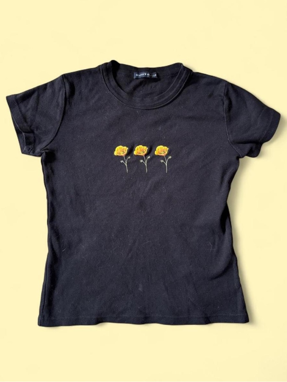 Brandy Melville Baby Tee